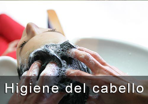 Higiene cabello