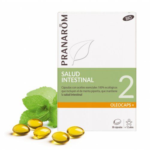 2 salud intestinal